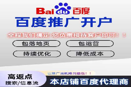 百度竞价运营策略：成功案例解析